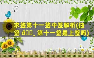 求签第十一签中签解析(抽签 🌸 第十一签是上签吗)